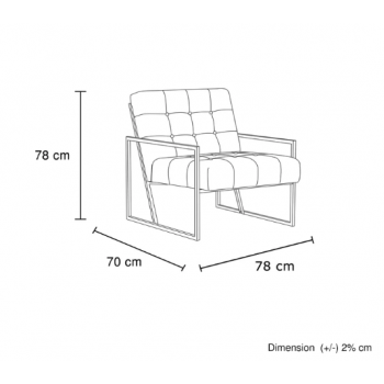Oslo Velvet Accent Chair with Metal Base 